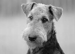 Remembering an old friend